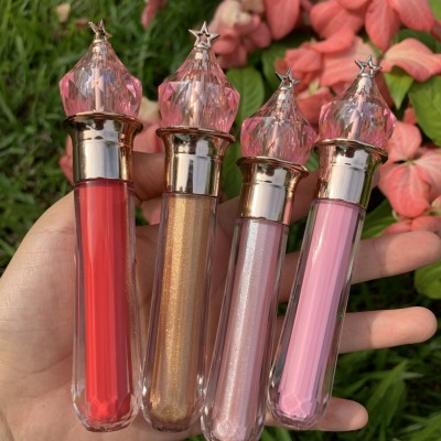 Popular Wand Clear Lip Gloss Matte Lipstick Private Label Nude Pigment for Lipgloss Glossy Lip Gel